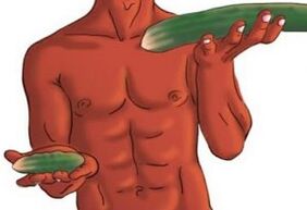 result of penis enlargement on the example of cucumbers
