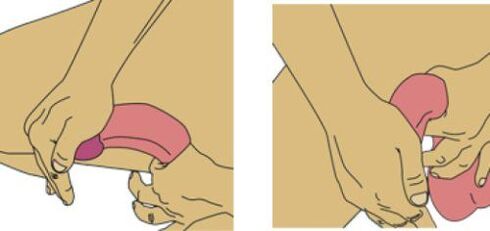 penis flexion to increase size
